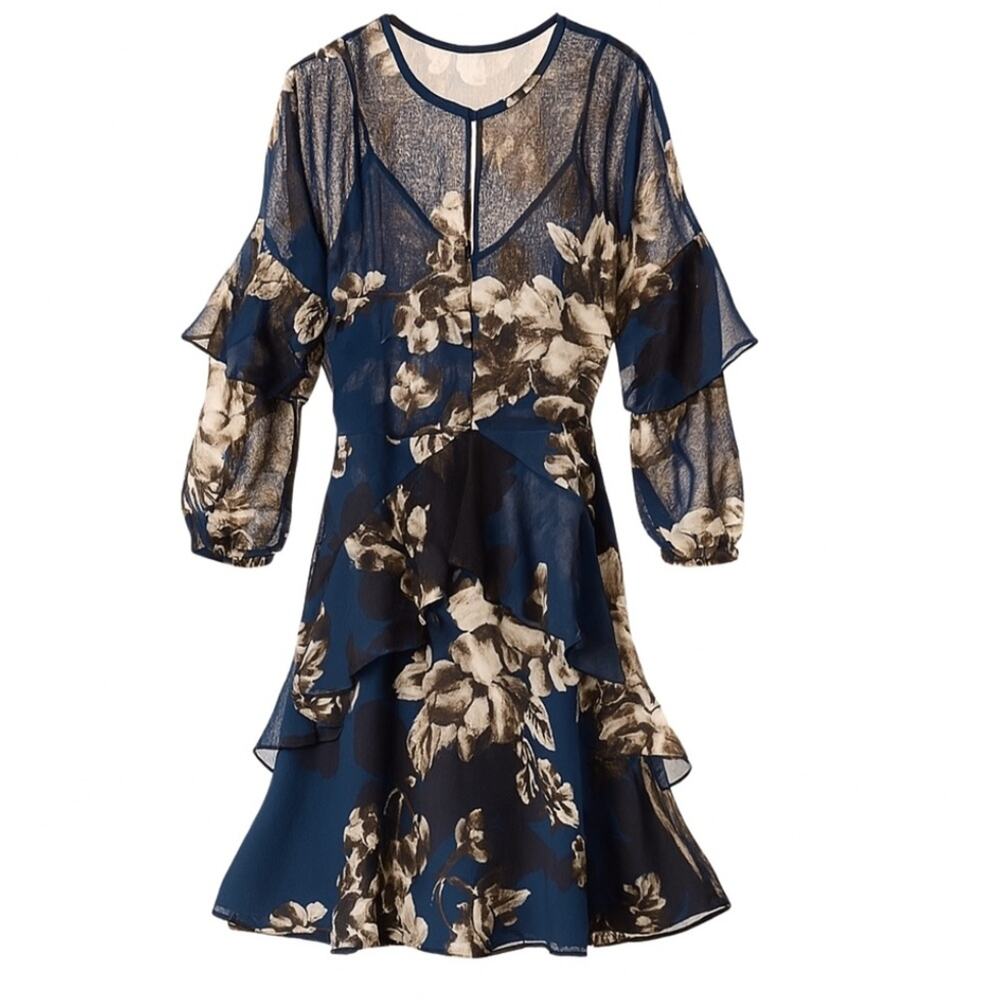 Rachel Roy Ruffled A Line Sheer Floral Dress Womens Size 6 Romantic Boho Moody